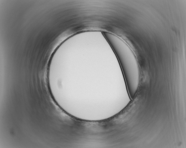 X0000110690909200907241101