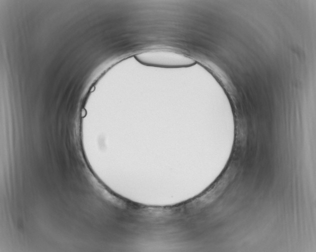 X0000110690910200907241101