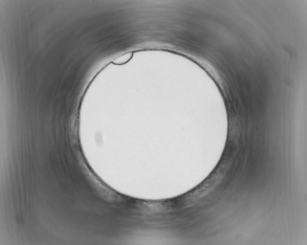 X0000110690911200907241101