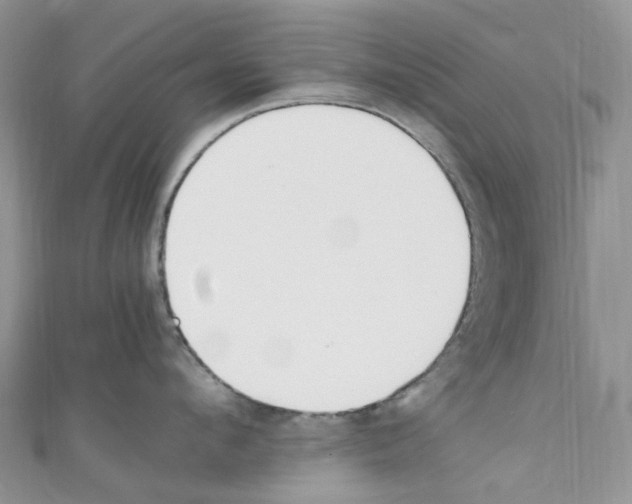 X0000110690912200907241101