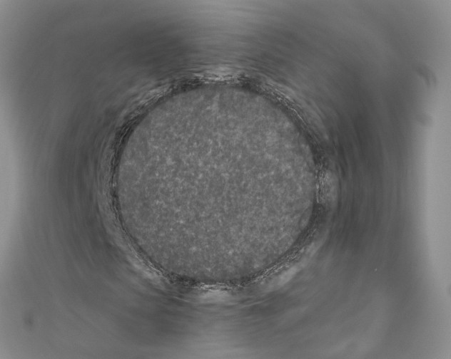 X0000110690913200907241101