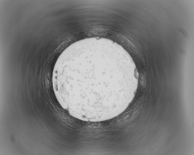 X0000110690915200907241101