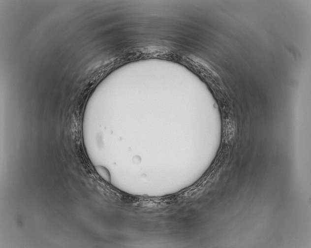 X0000110690917200907241101