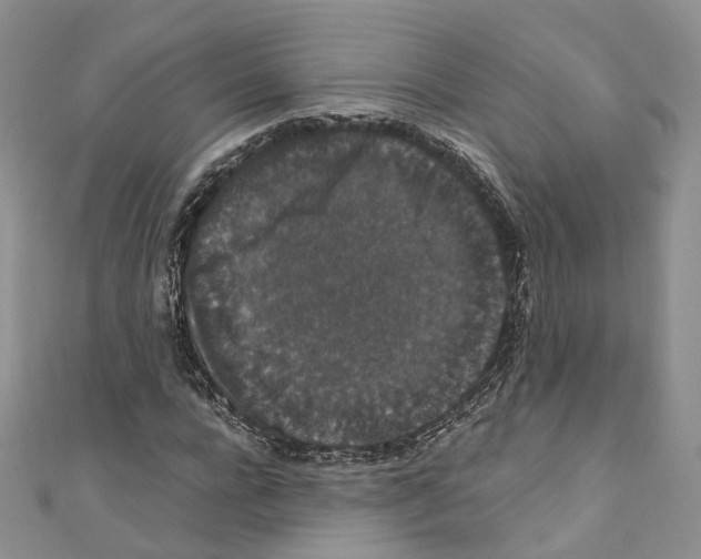 X0000110690920200907241101