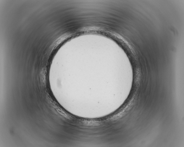 X0000110690921200907241101