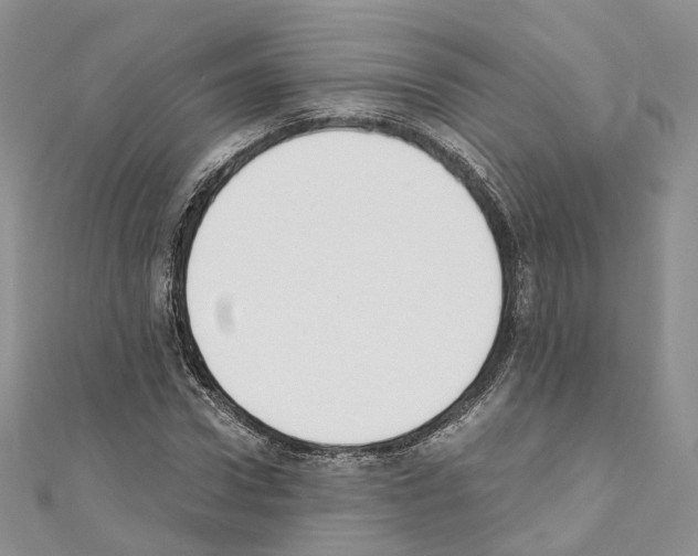 X0000110690922200907241101