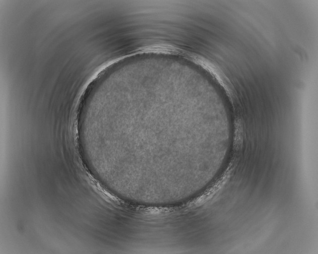 X0000110690923200907241101