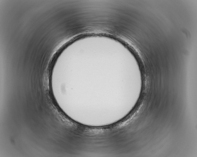 X0000110690925200907241101