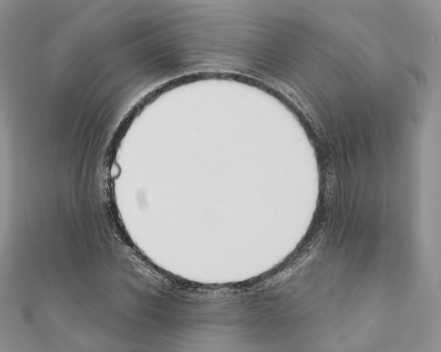 X0000110690926200907241101