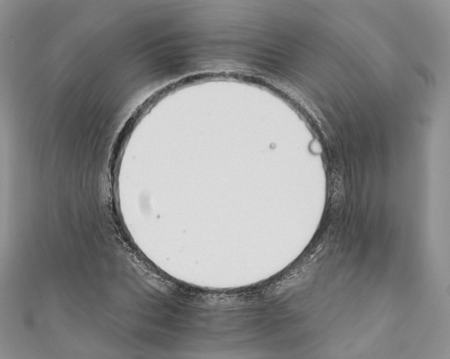 X0000110690927200907241101