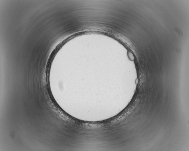 X0000110690928200907241101