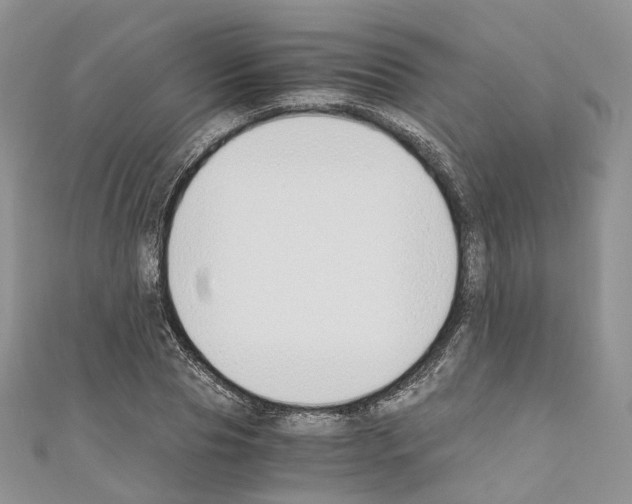 X0000110690929200907241101