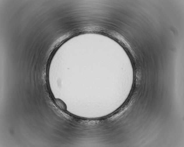 X0000110690930200907241101