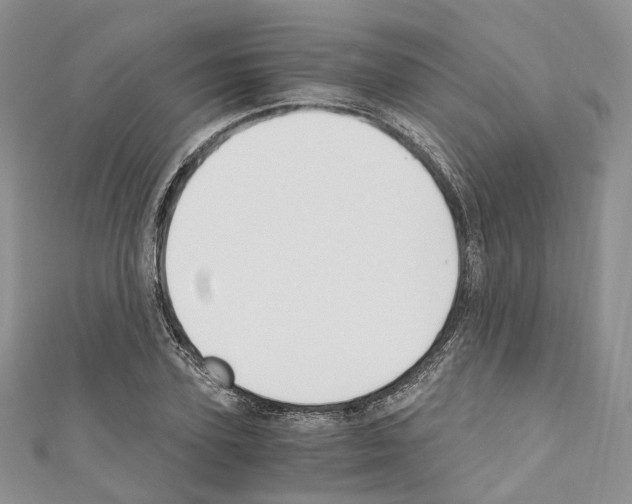 X0000110690931200907241101