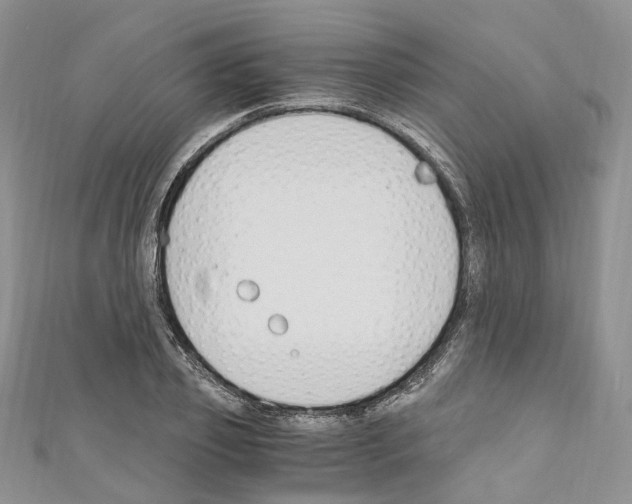 X0000110690933200907241101