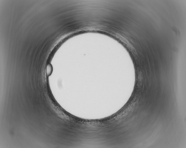 X0000110690934200907241101