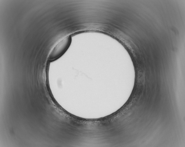 X0000110690936200907241101