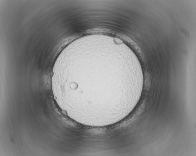 X0000110690937200907241101