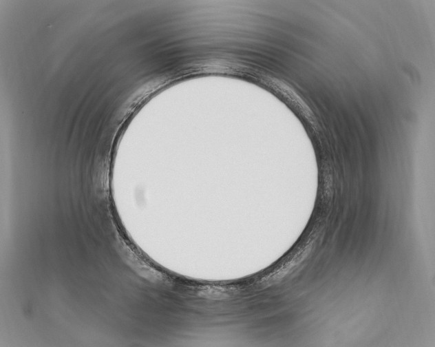 X0000110690938200907241101