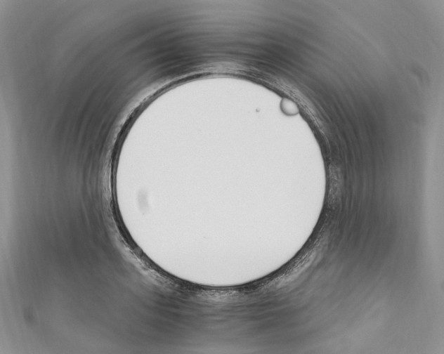 X0000110690939200907241101