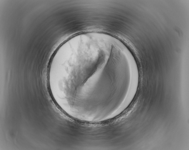 X0000110690941200907241101