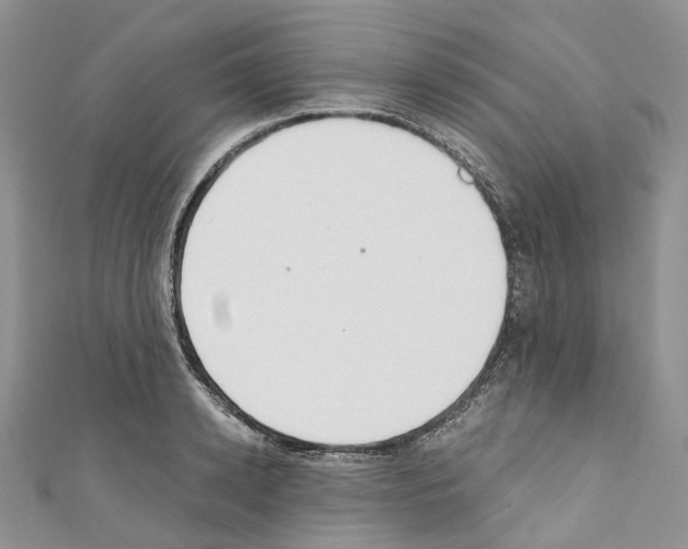 X0000110690942200907241101