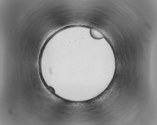 X0000110690943200907241101