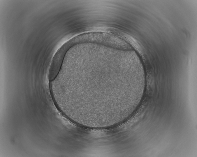 X0000110690944200907241101