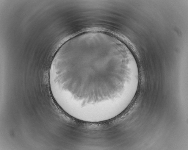 X0000110690945200907241101