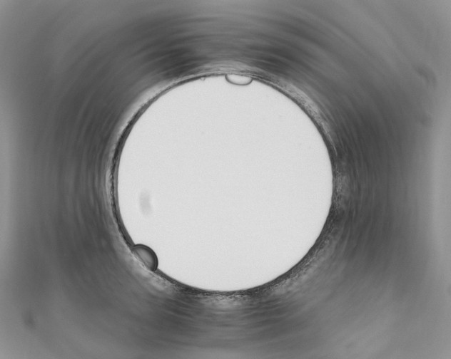 X0000110690947200907241101