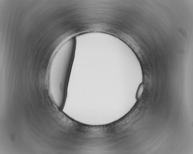 X0000110690948200907241101