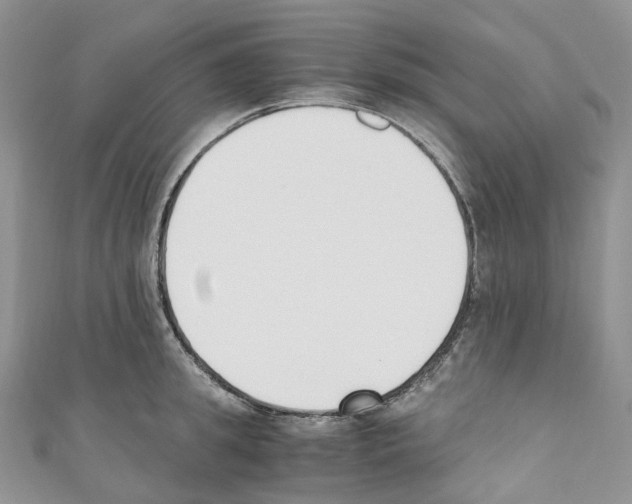 X0000110690949200907241101