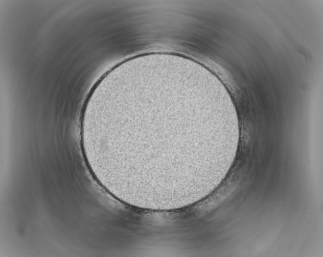 X0000110690950200907241101