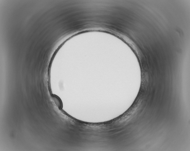 X0000110690951200907241101