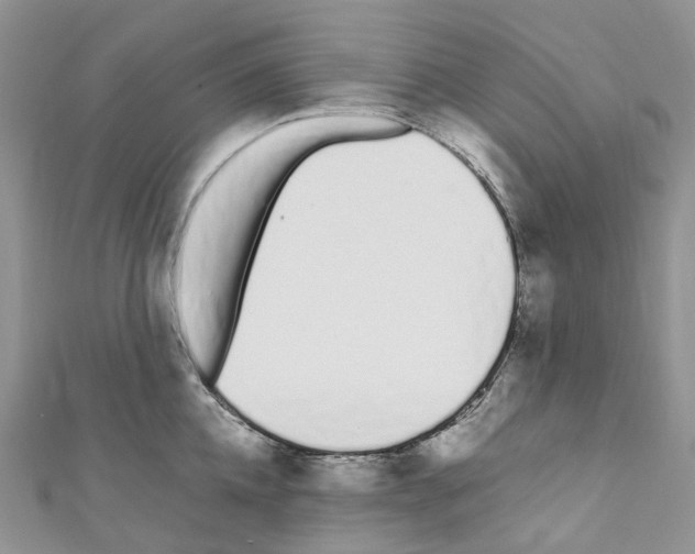 X0000110690952200907241101