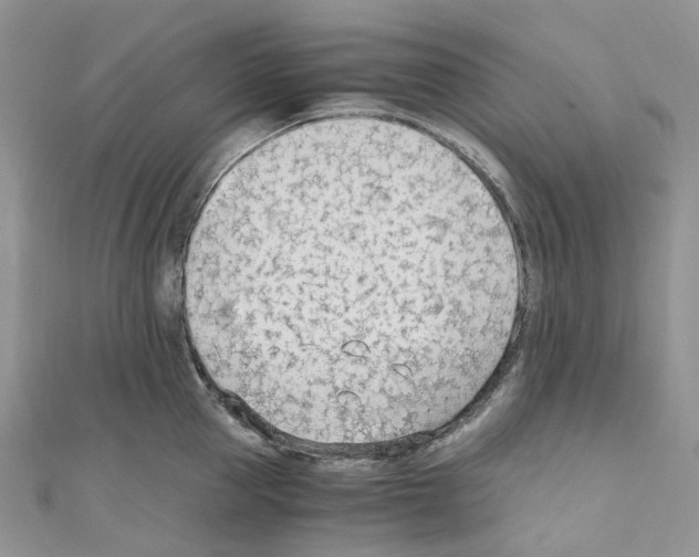 X0000110690953200907241101