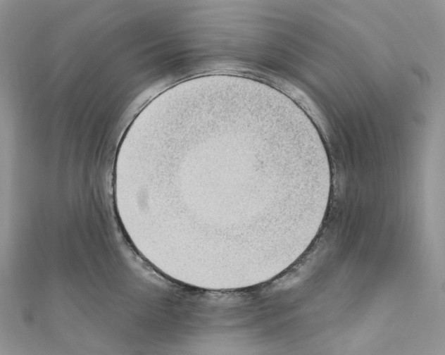 X0000110690954200907241101