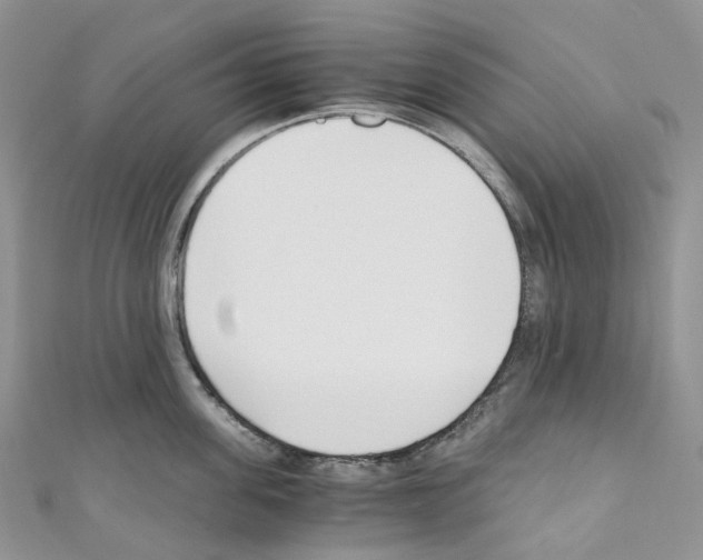 X0000110690955200907241101