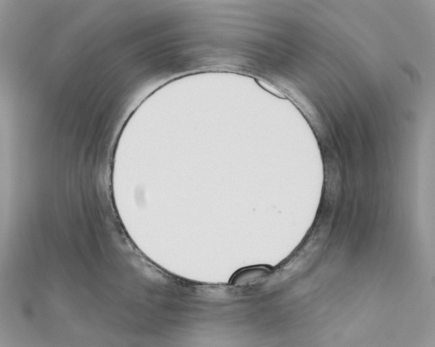 X0000110690956200907241101