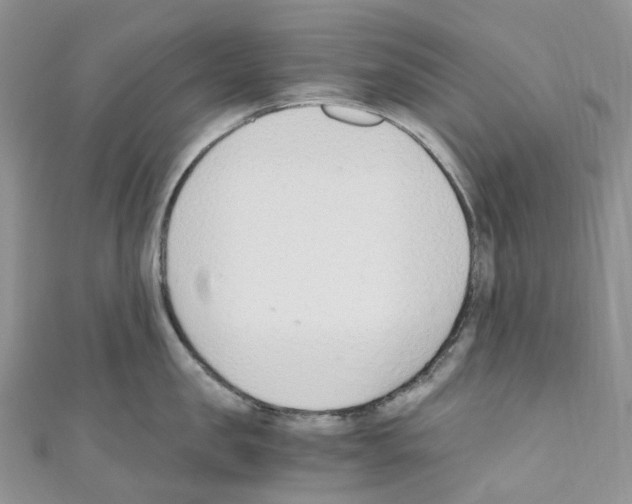 X0000110690957200907241101