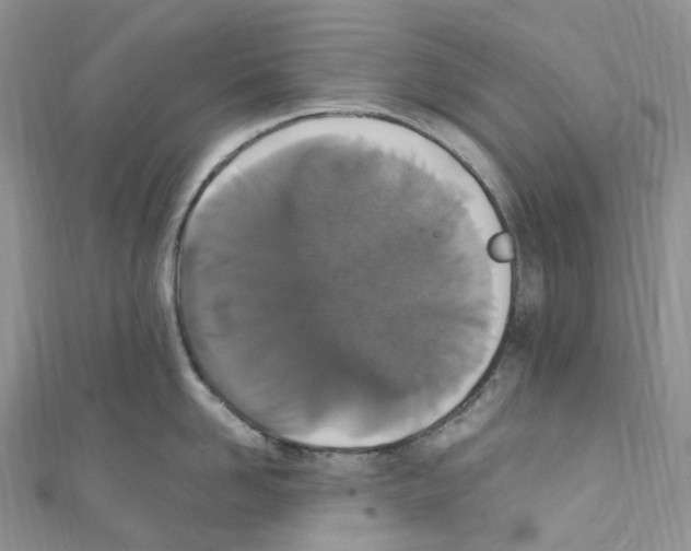 X0000110690958200907241101