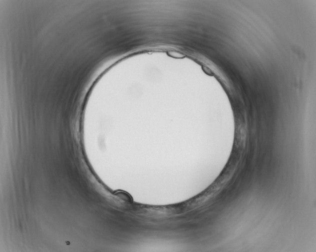 X0000110690959200907241101