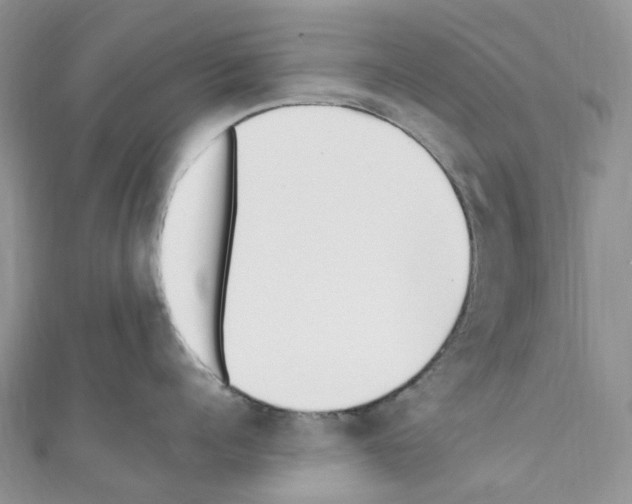 X0000110690960200907241101