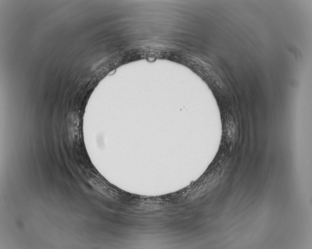 X0000110690964200907241100