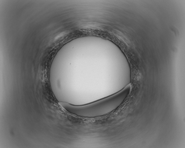 X0000110690965200907241100