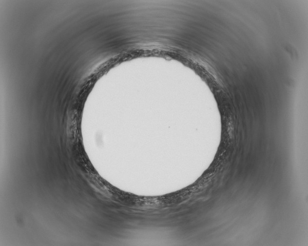 X0000110690968200907241100