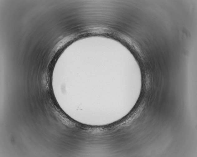 X0000110690970200907241100