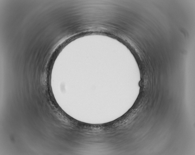 X0000110690975200907241100