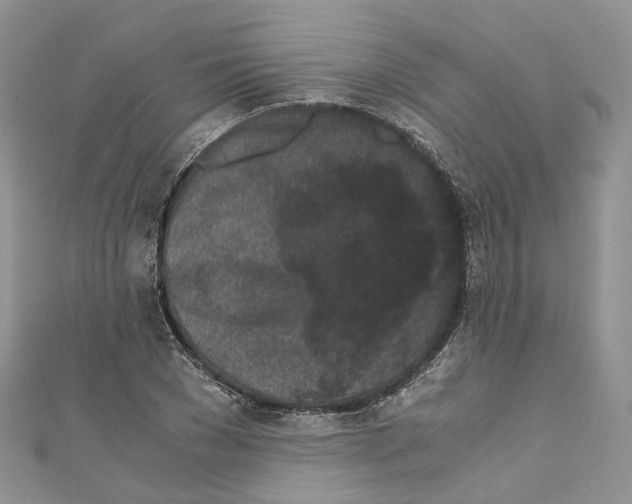 X0000110690977200907241100