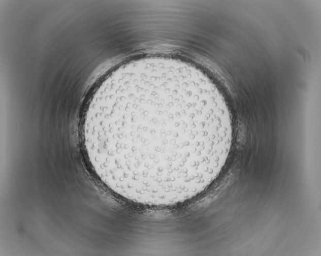 X0000110690978200907241100